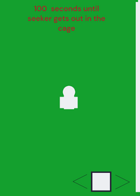A game where you hide from a seeker