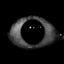 erenalitas34 avatar