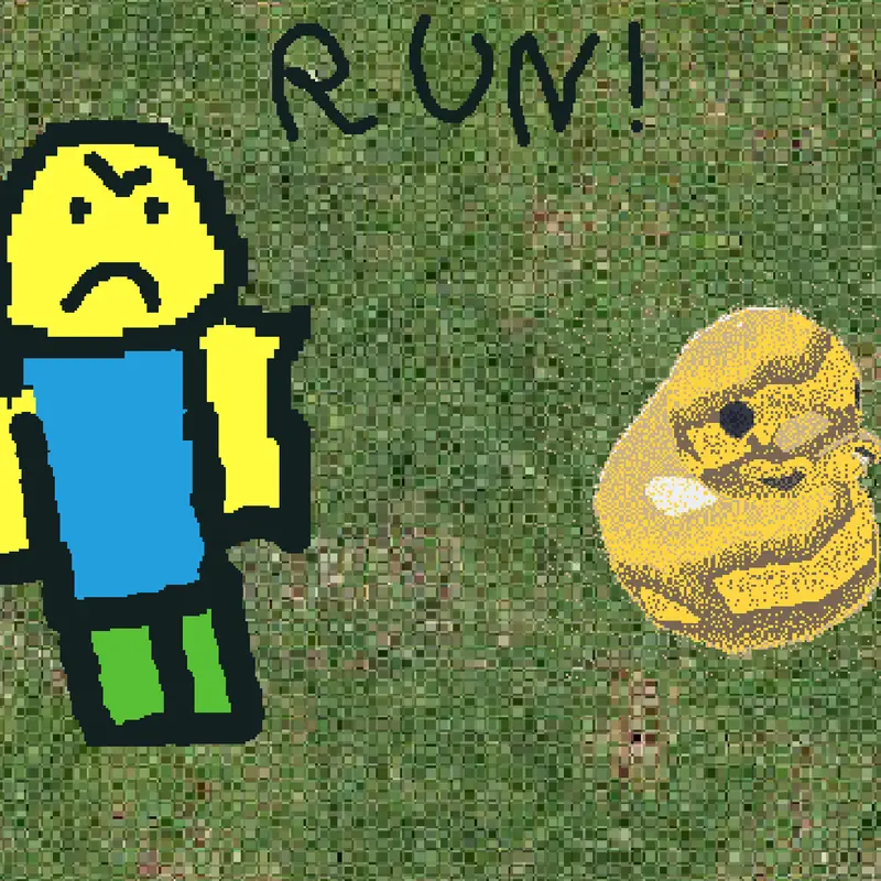 Duck run! by @PadariaMexicana
