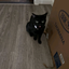 Bassie_dw2890 avatar