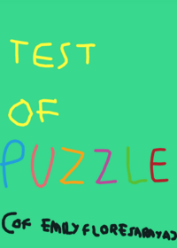 Puzzle test