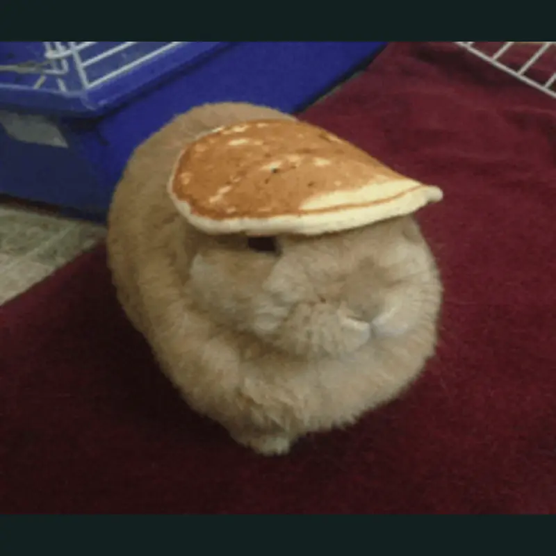 Pancake by @brazillian-games
