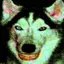 sgtrotten avatar
