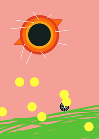 Black hole test
