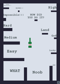 Bottle Flip Game!