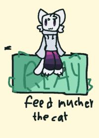 Mucher the cat he is just a cat to this