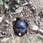 5RXARIF avatar