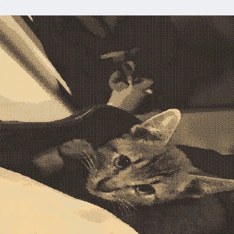 Kitty by @JesseMiles