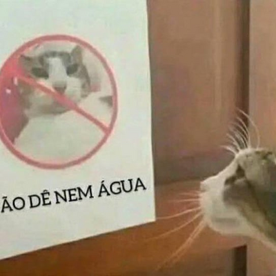 @arthurvi