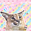 Heyitzcloudyz avatar