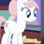 Tuliptheparakeet avatar