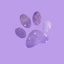 Squirrley1 avatar
