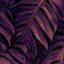 QAlana_07444 avatar