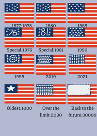 Usa flags in a nutshell