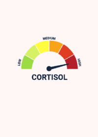 Low cortisol