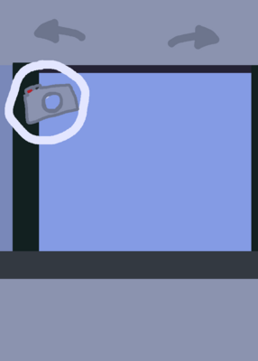 snapshot