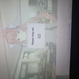 @yuriwife_ddlc