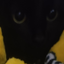 mutantvr avatar