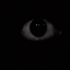 nexbotmunci avatar