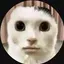flawspaws avatar