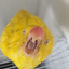 plant-man avatar