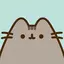 popp1234 avatar