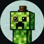 9jdjd81Creeper avatar