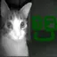 dimatfh_a-35_2_alt avatar