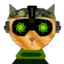 Military_Cat avatar
