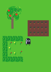 Your garden