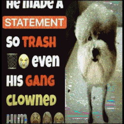 joe8374 avatar