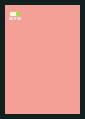 snapshot