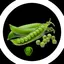 bangy_official avatar