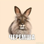 cheremsha-_- avatar