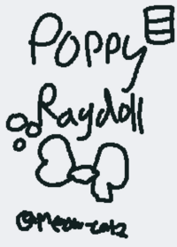 Poppy dw ragdoll
