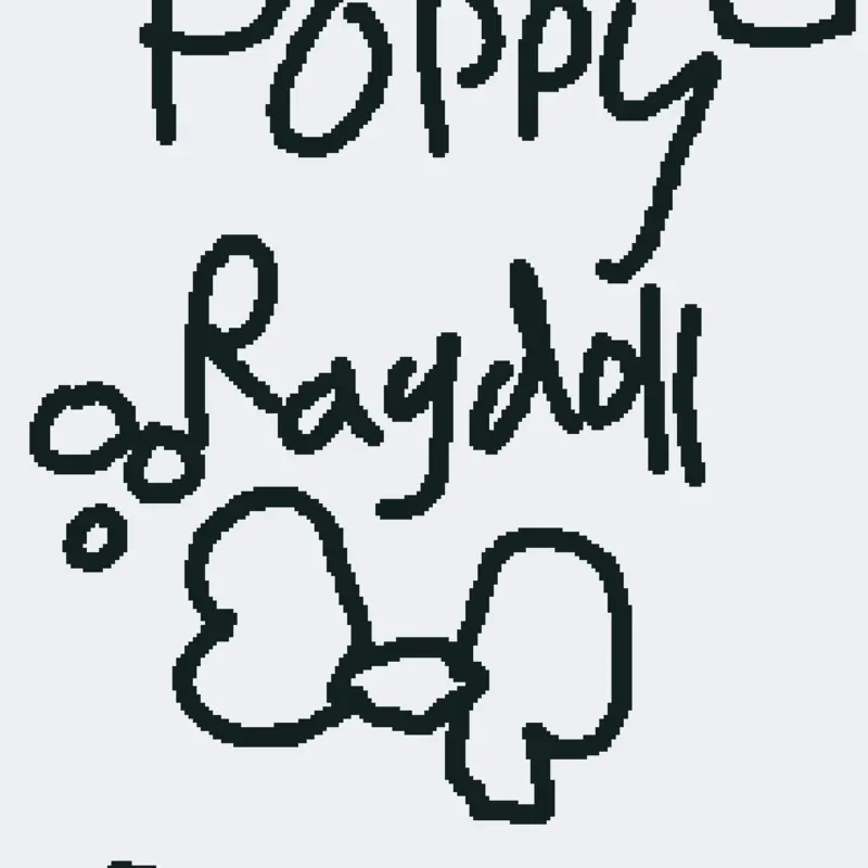 Poppy dw ragdoll by @Meow-cat2
