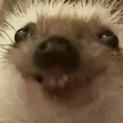 @LAELE_
