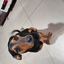tizianoelsalamin2015 avatar