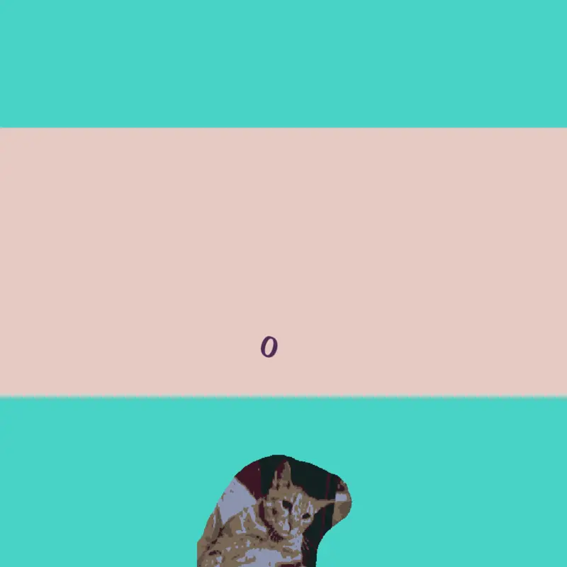 #my cats by @tea_kokenjak