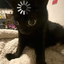 maxomaxi avatar
