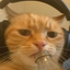 aradusgamir avatar