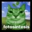 iamfish avatar