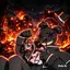 KooKoo_2026 avatar