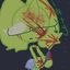 l-_M1NTY_-l avatar