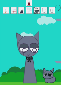 Gray ragdoll