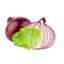onionlettuce avatar