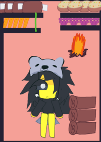 Koala kid ragdoll