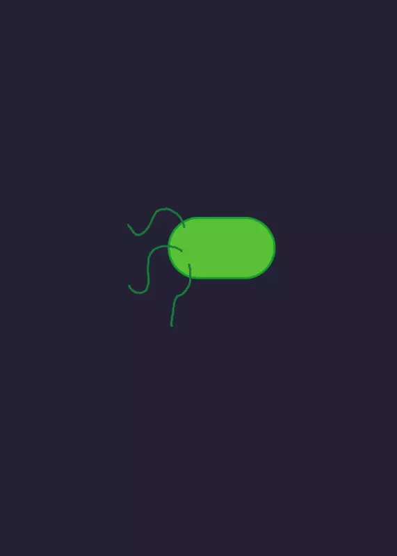 Bacteria by @surimos