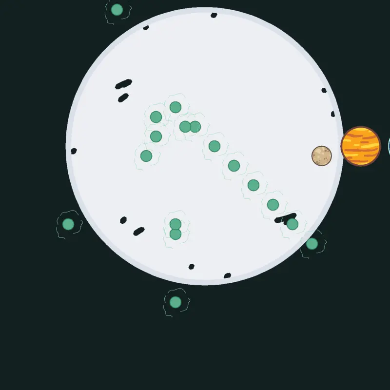 Game by @Yuan18