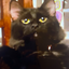 OliverYT476 avatar